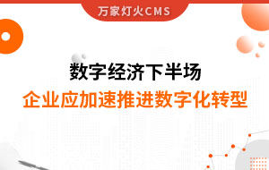 數(shù)字經(jīng)濟(jì)下半場，企業(yè)應(yīng)加速推進(jìn)數(shù)字化轉(zhuǎn)型