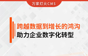 跨越數(shù)據(jù)到增長(zhǎng)的鴻溝，助力企業(yè)數(shù)字化轉(zhuǎn)型